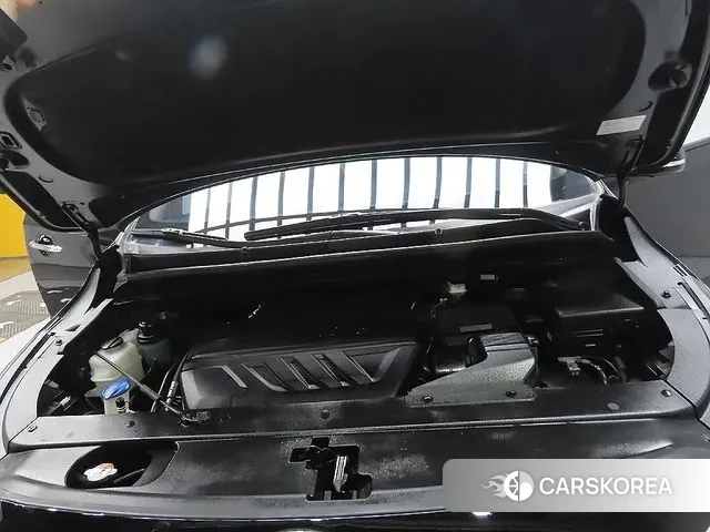 Kia The New Carnival id 3315527 из Кореи 18