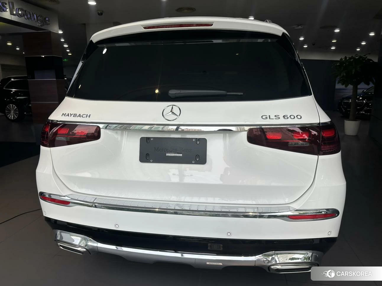 Mercedes-Benz Maybach GLS id 4454207 из Китая 12
