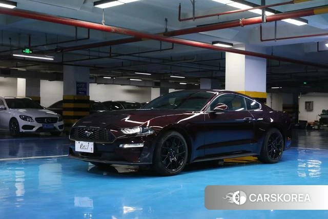 Ford Mustang id 4235431 из Китая 13