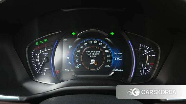 Hyundai Santa Fe TM id 4907287 из Кореи 33