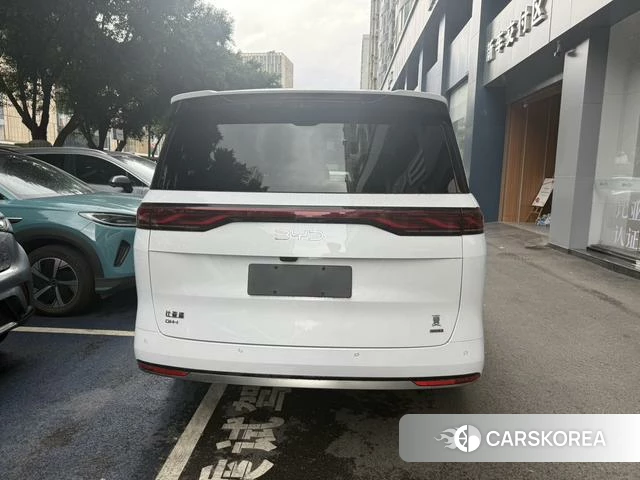 BYD summer id 4253707 из Китая 9