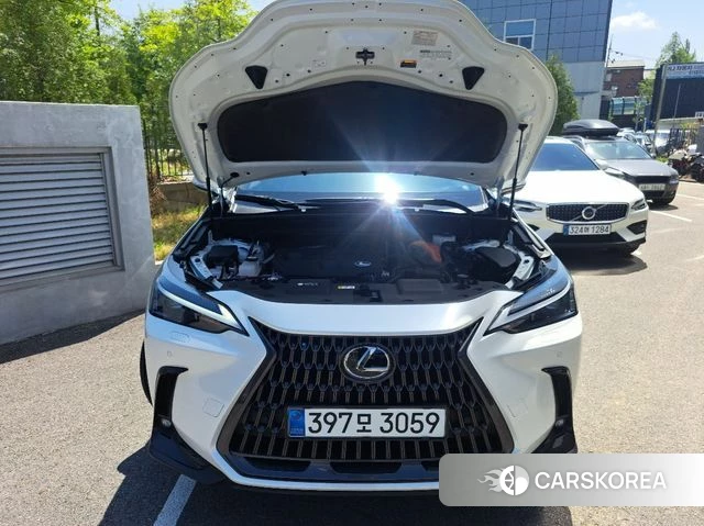 Lexus NX350h Second generation id 4266401 из Кореи 18