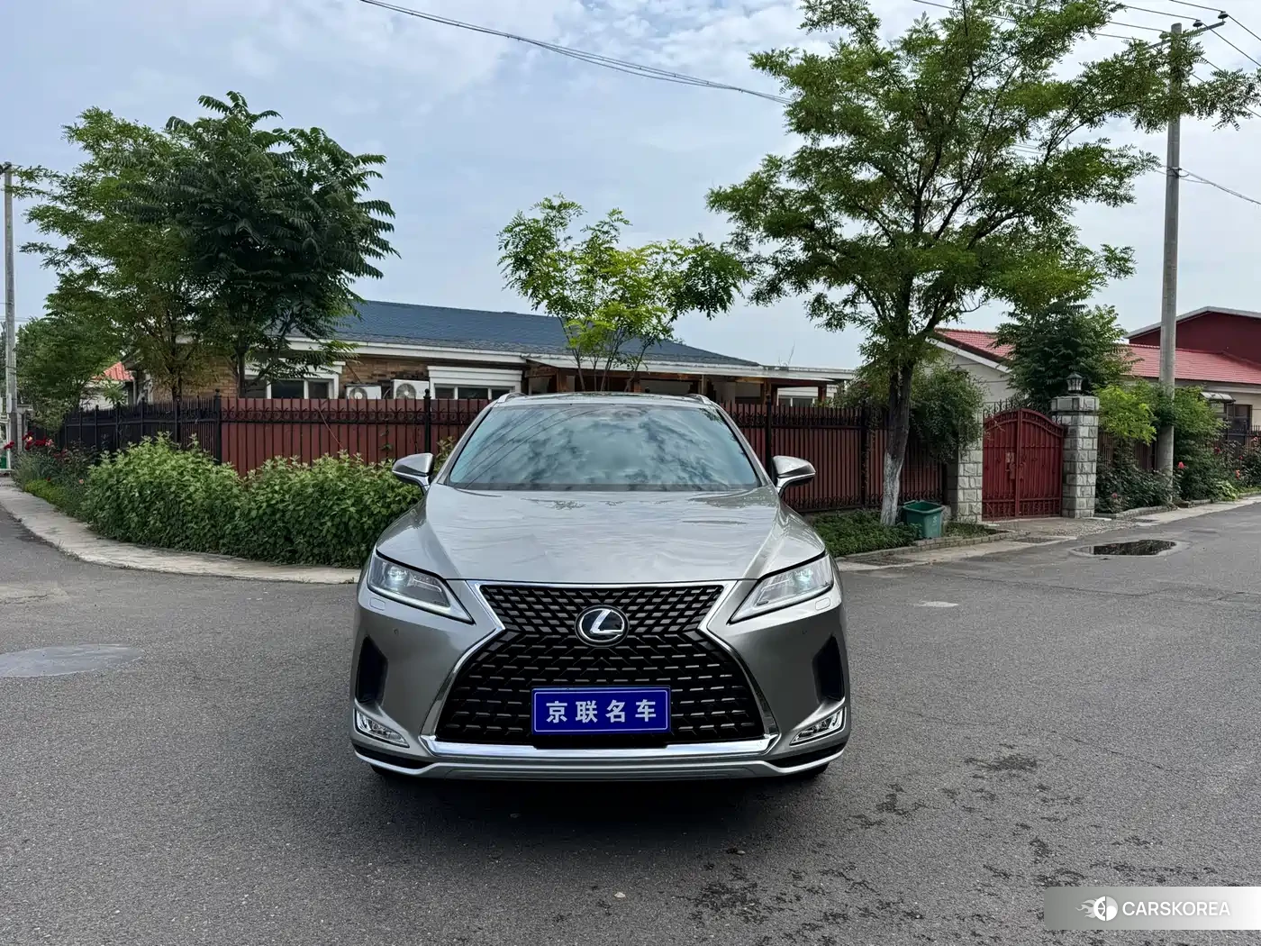 Lexus RX id 4539027 из Китая 13