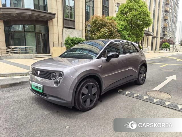 firefly firefly Unknown id 3969201 из Китая 14