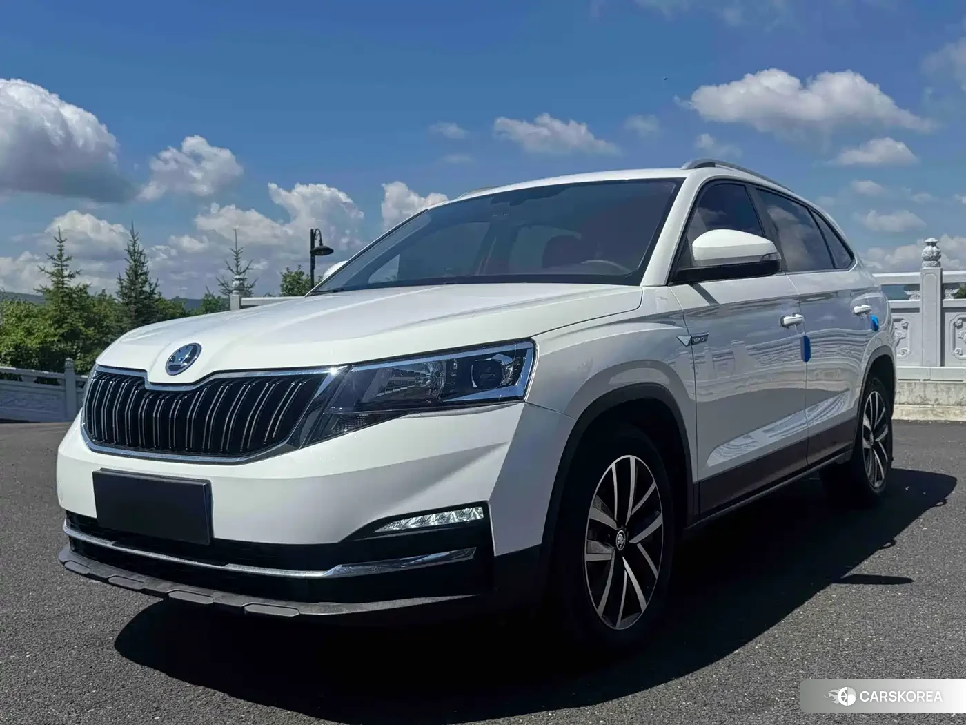 Skoda Kamiq id 4679852 из Китая 19