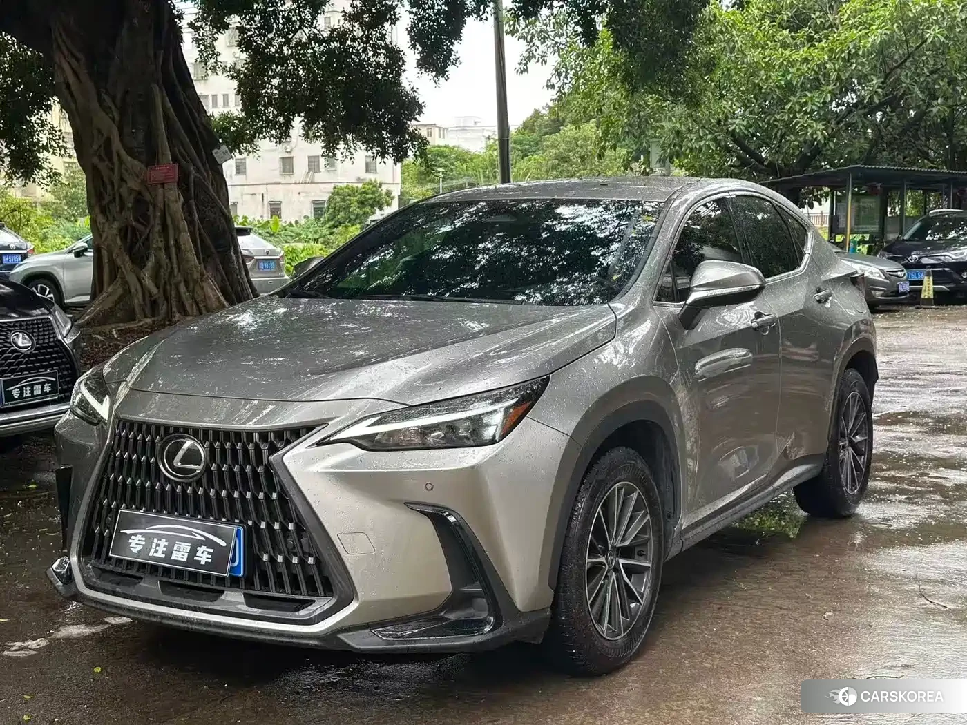 Lexus NX id 4686051 из Китая 9