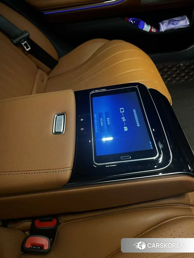 Mercedes-Benz S-class id 4300890 из Китая 8