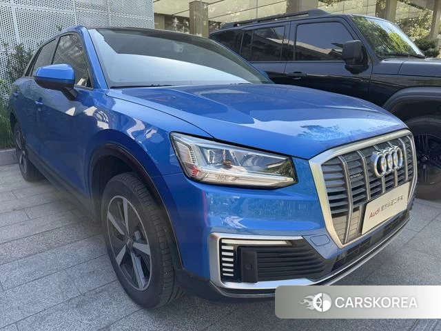 Audi Q2L e-tron id 4299802 из Китая 8