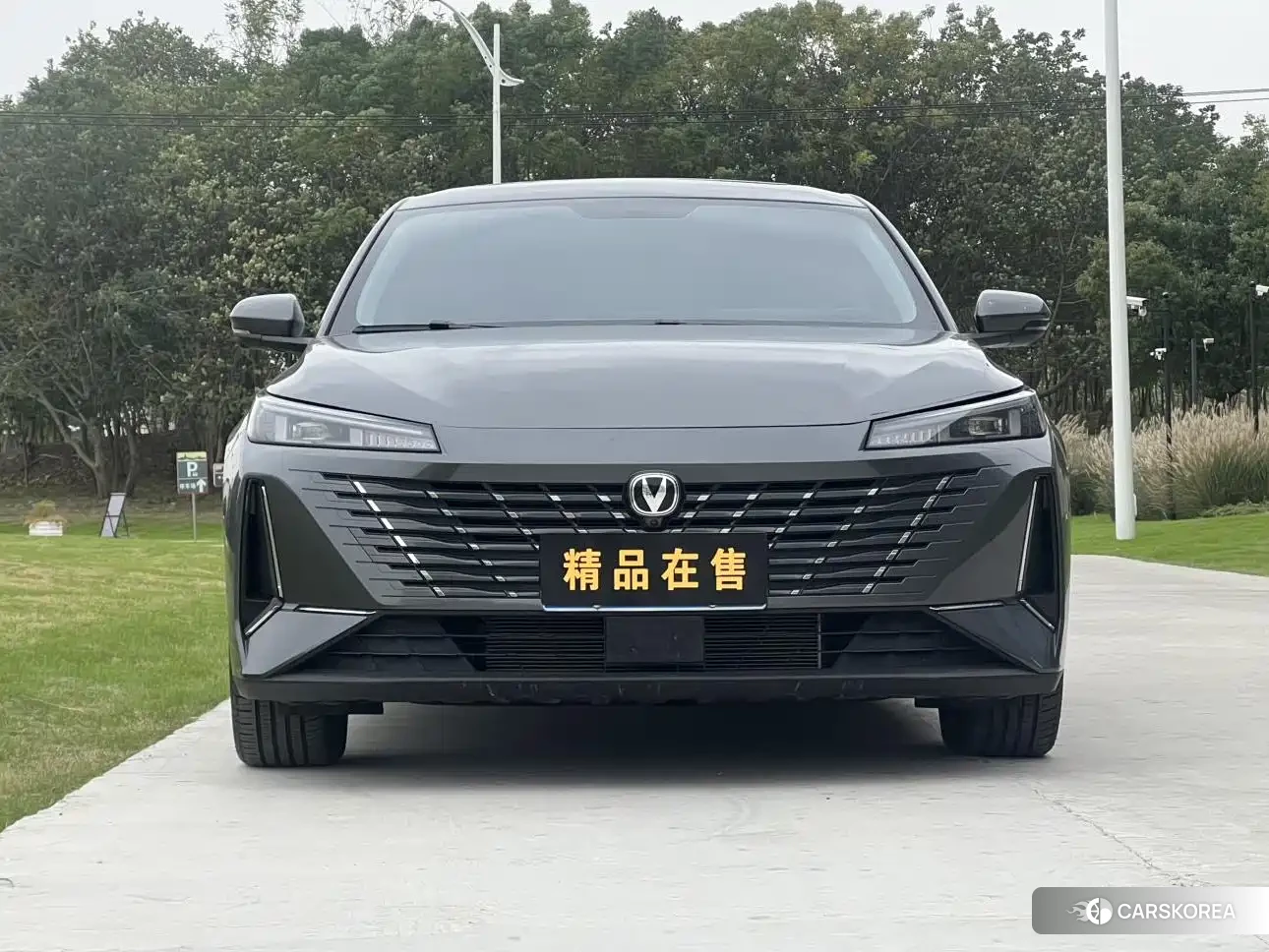 Chang'an Yidong id 4538715 из Китая 17