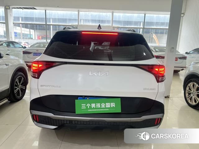 Kia Lion Platinum expands the world id 4262503 из Китая 10