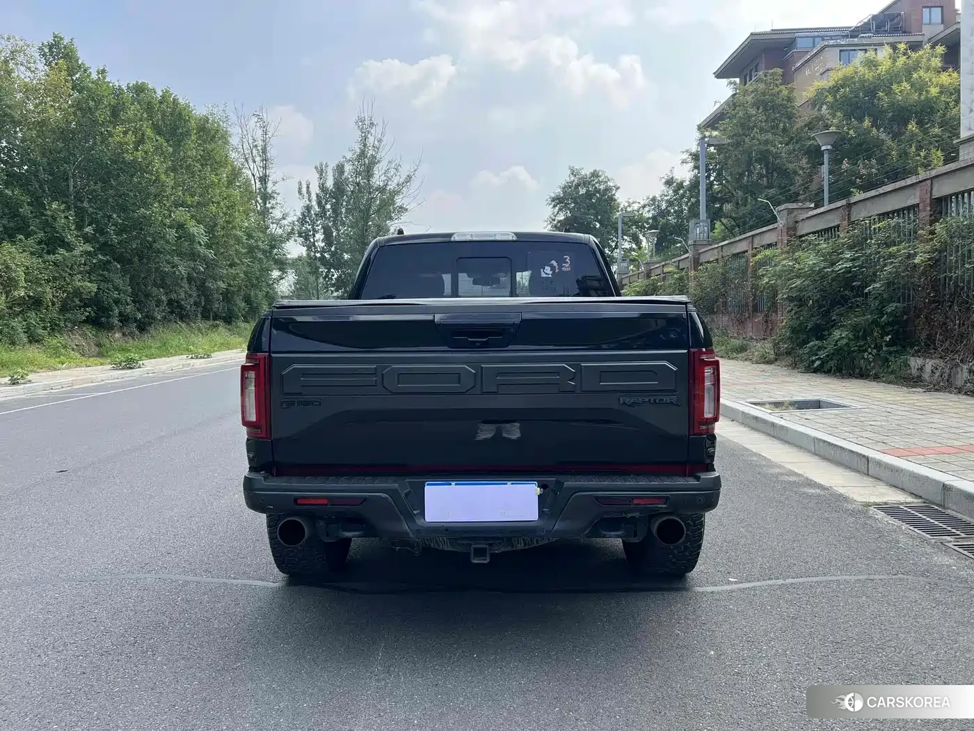 Ford F-150 id 4600873 из Китая 11