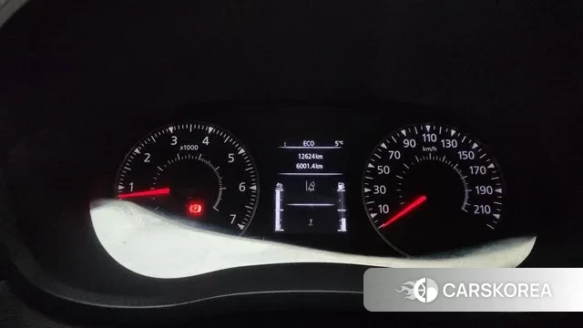 Renault Korea (Samsung) Master id 3513784 из Кореи 18