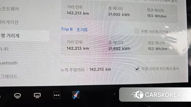Tesla Model 3 id 3028093 из Кореи 18