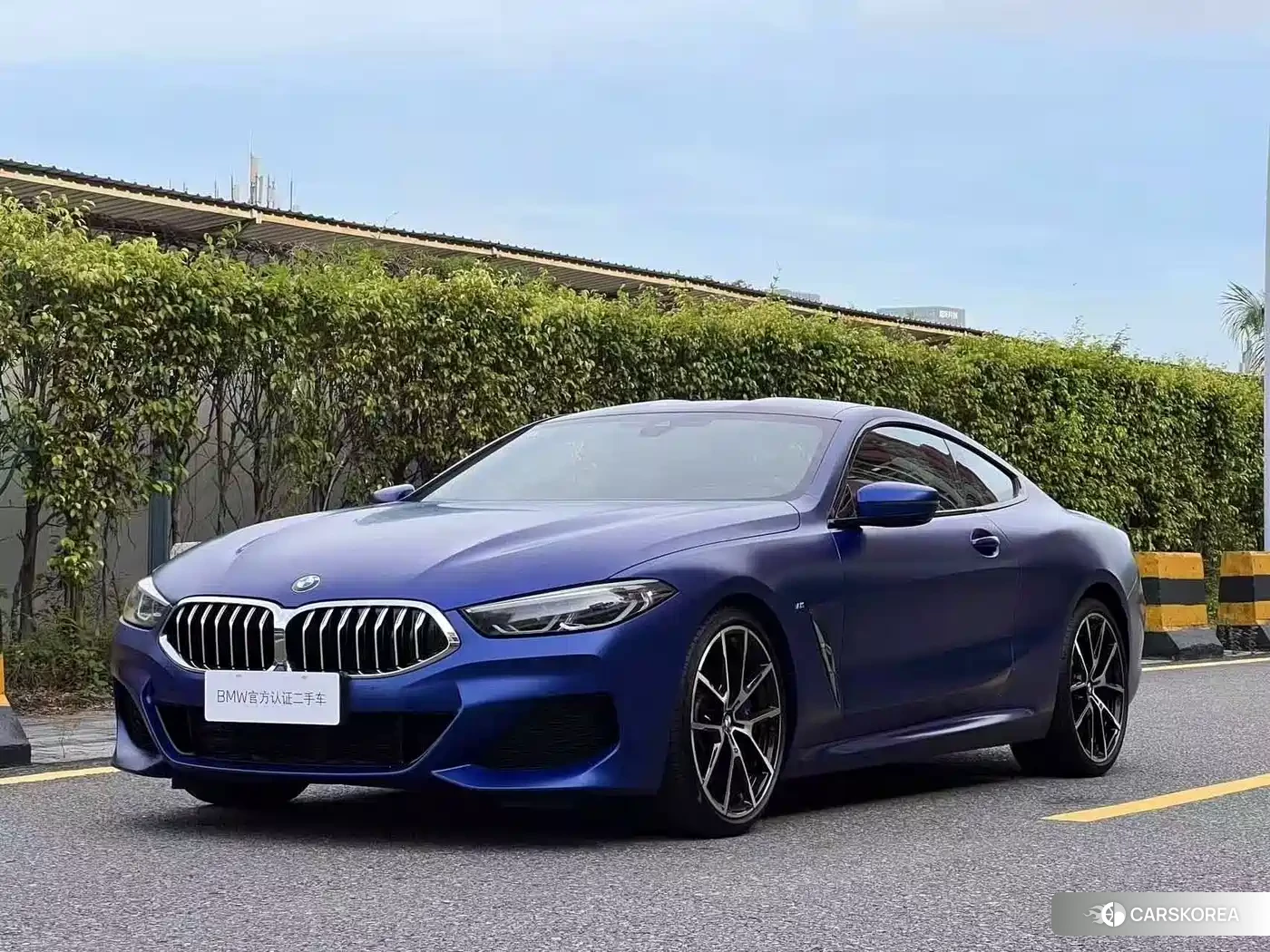 BMW 8 series id 4570291 из Китая 20