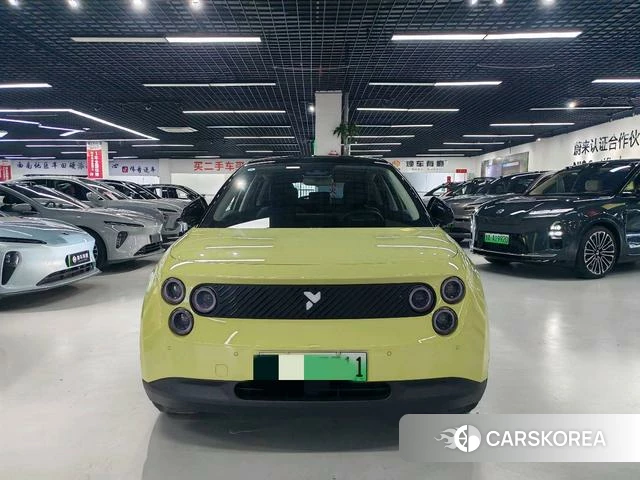 firefly firefly Unknown id 4182561 из Китая 9