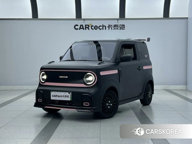 Geely Galaxy panda id 3907942 из Китая 24