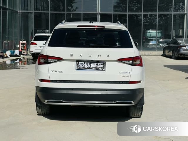 Skoda Kodiak id 4394145 из Китая 17
