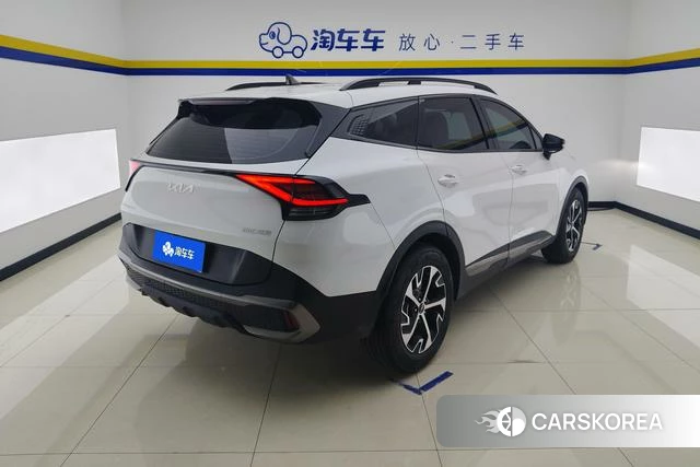 Kia Lion Platinum expands the world id 4208699 из Китая 15