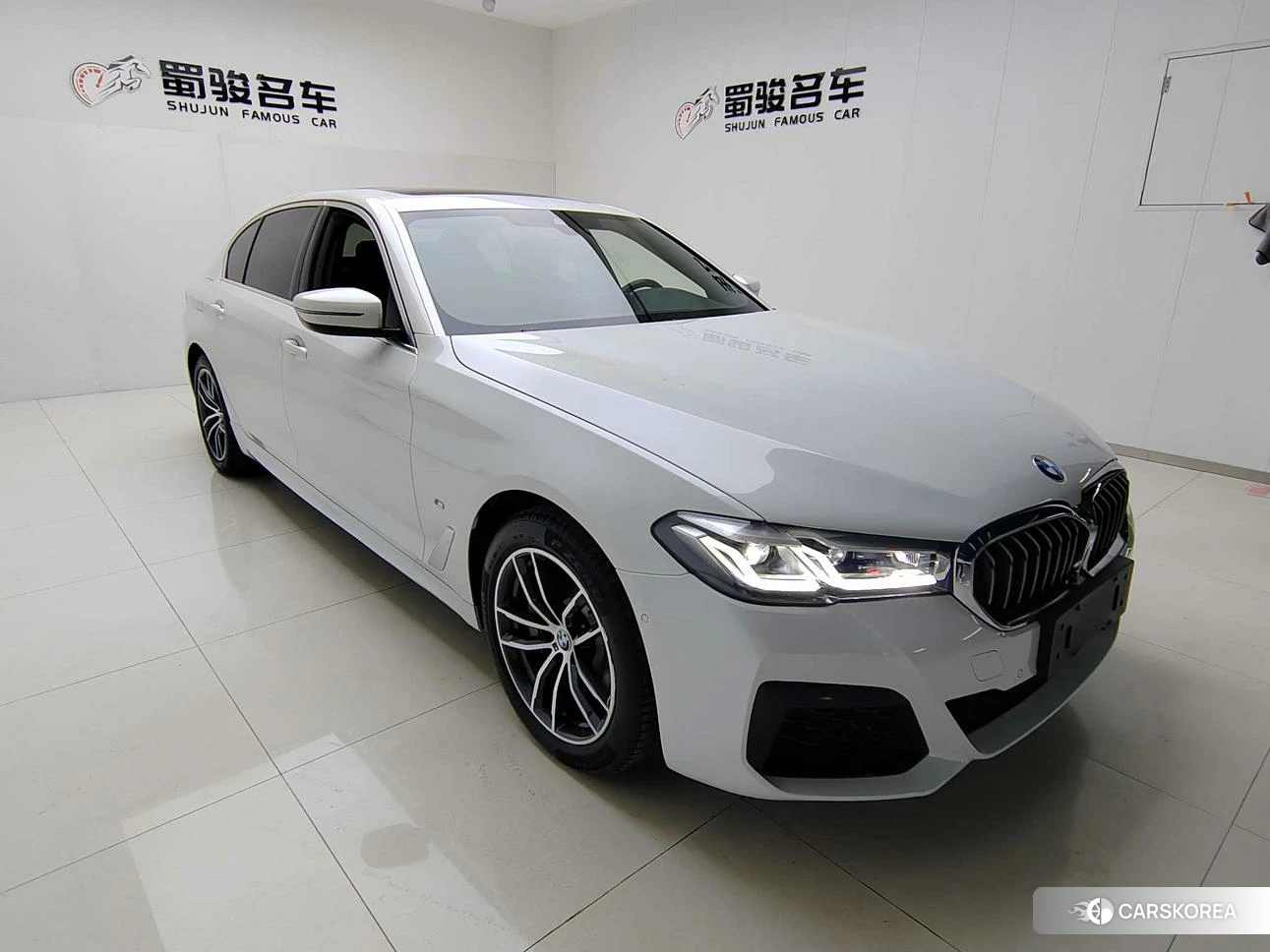 BMW 5 series PHEV id 4420286 из Китая 9
