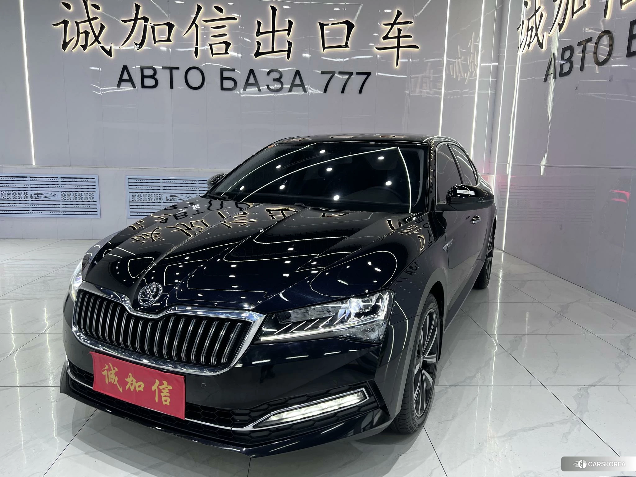 Skoda Speed pie id 4461304 из Китая 20