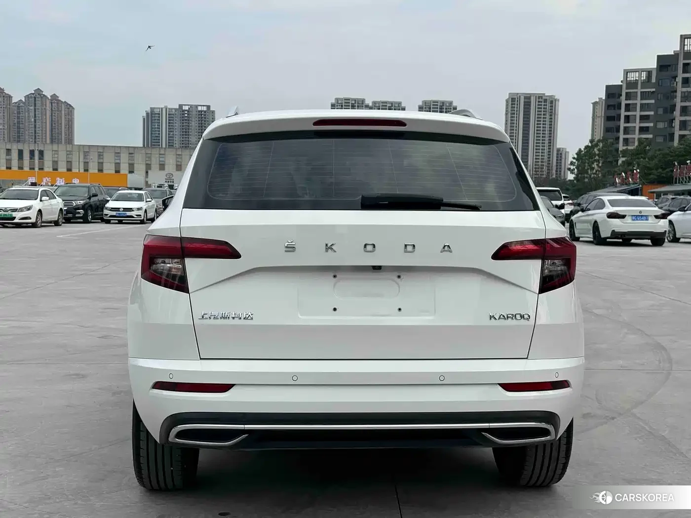 Skoda Karoq id 4686137 из Китая 20