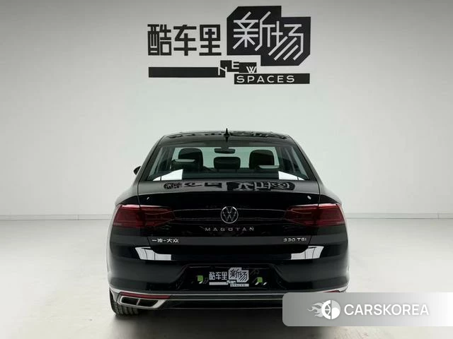 Volkswagen Magotan id 4301108 из Китая 16