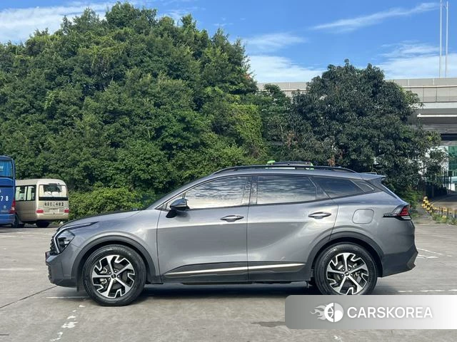 Kia Lion Platinum expands the world id 4329027 из Китая 8