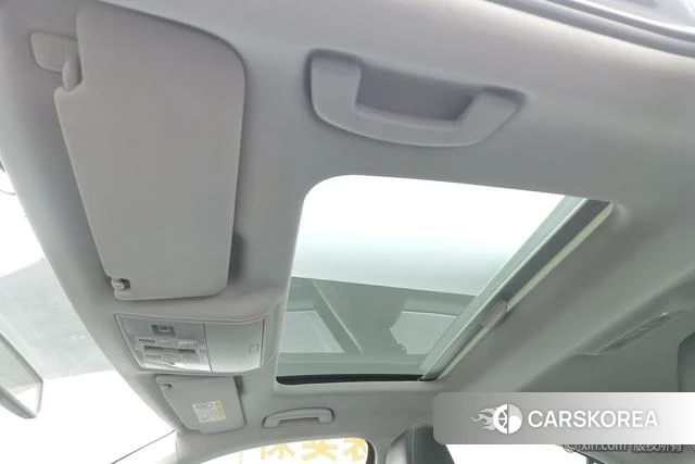 Skoda Speed pie id 4210065 из Китая 22