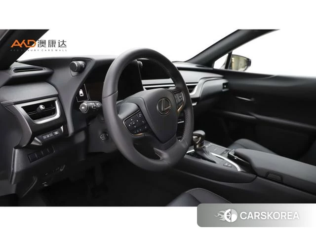 Lexus UX id 4274696 из Китая 8