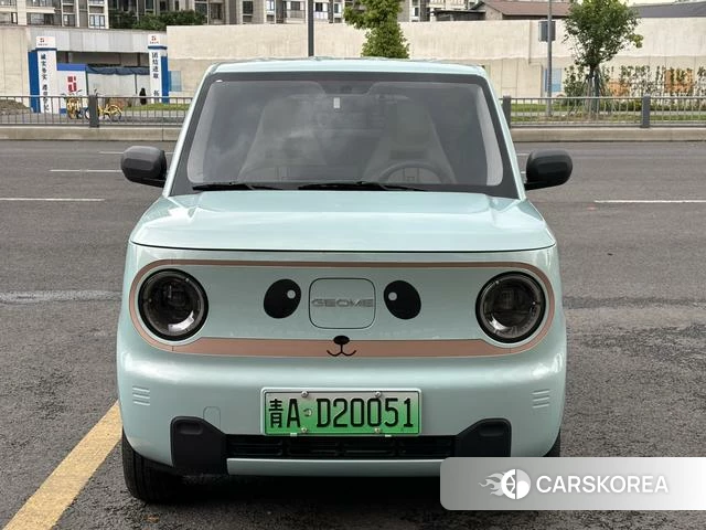 Geely Galaxy panda id 4254859 из Китая 16
