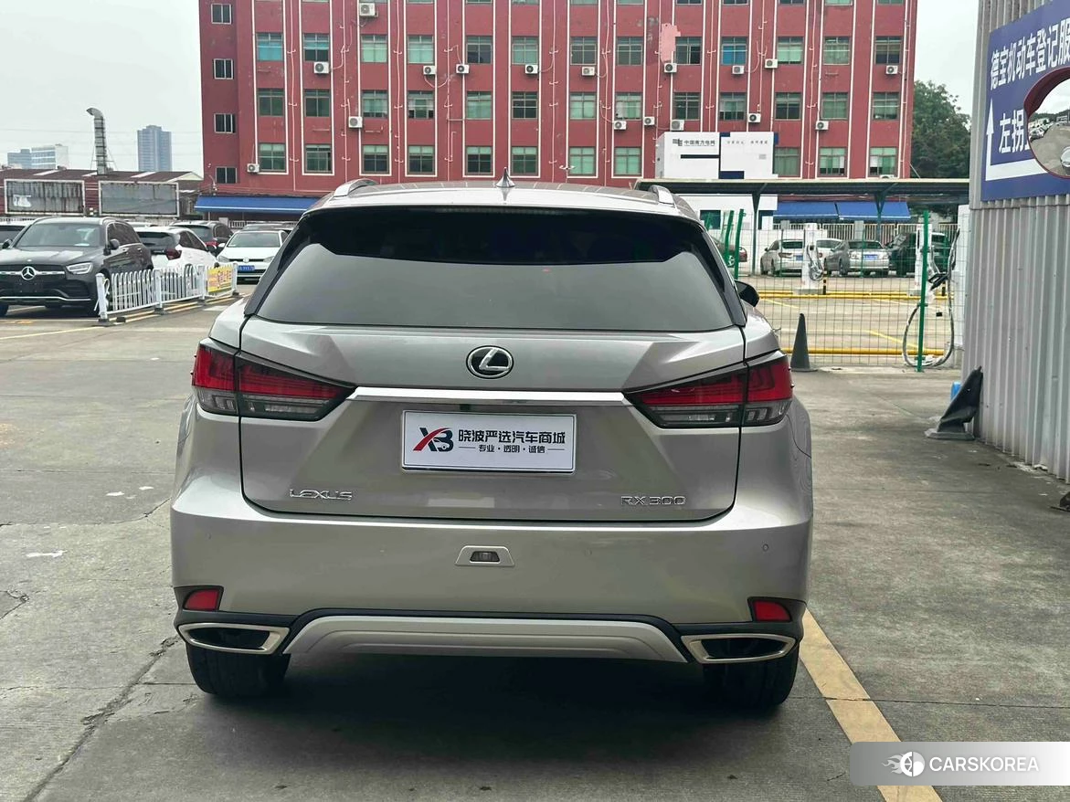 Lexus RX id 4499103 из Китая 20