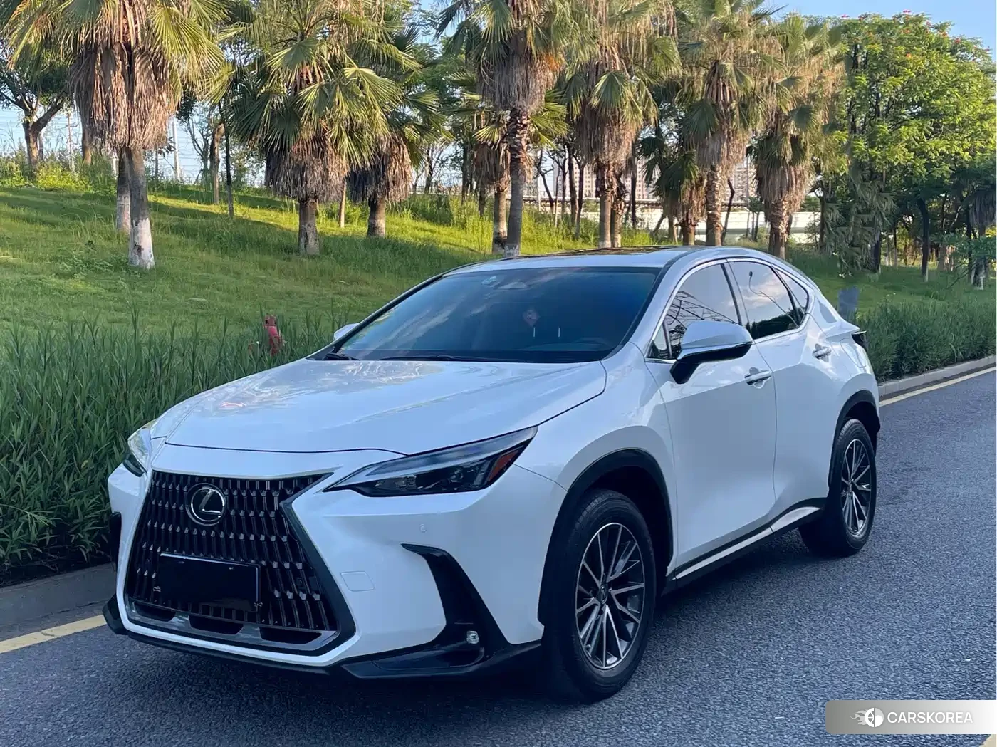 Lexus NX id 4680638 из Китая 8