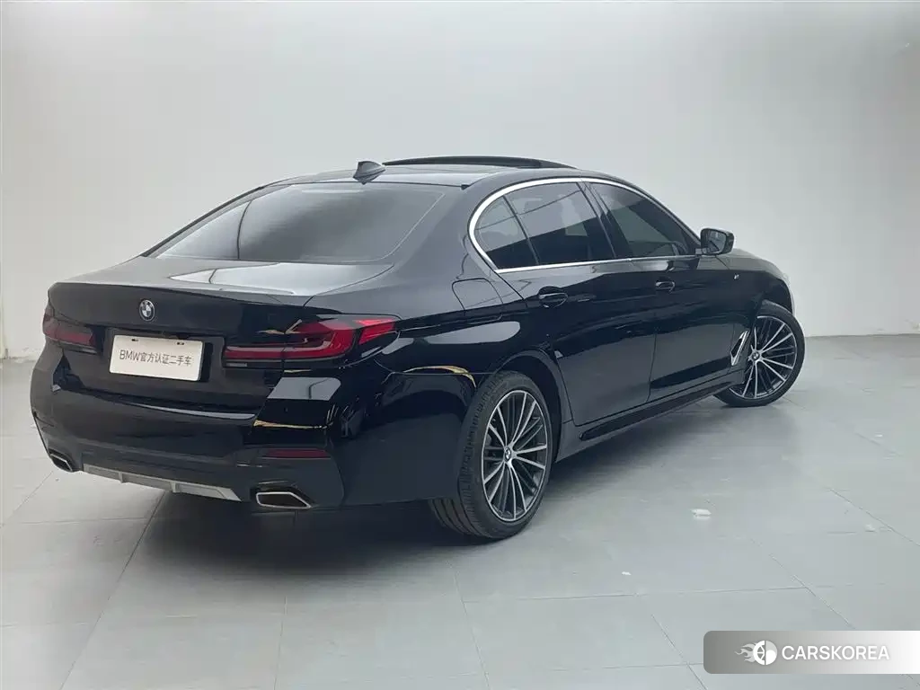 BMW 5 series id 4679893 из Китая 16