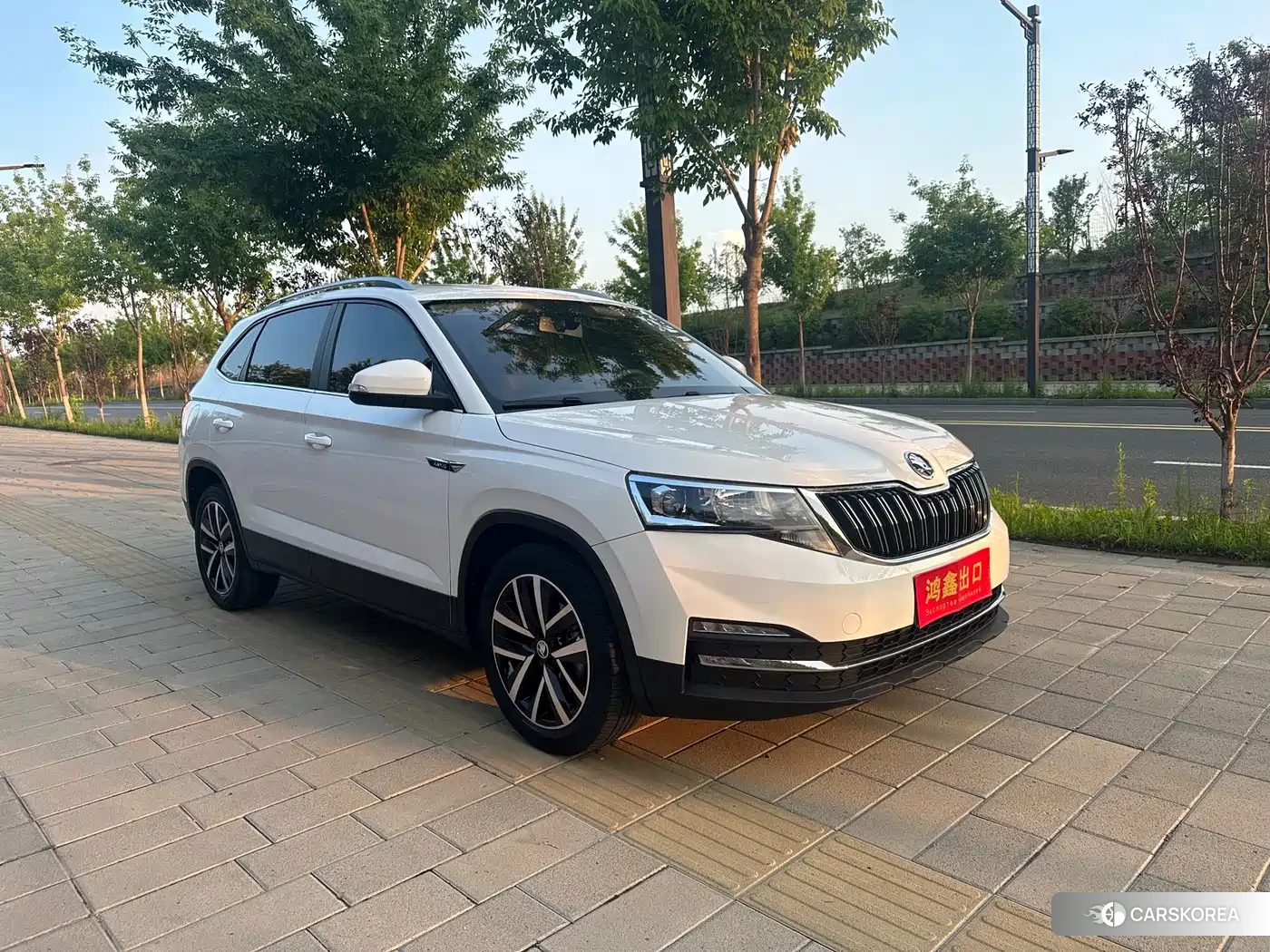 Skoda Kamiq id 4622587 из Китая 14