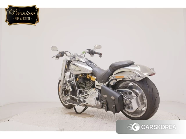 OTHER HARLEY FLSTFI1920 id 4366874 из Японии 8