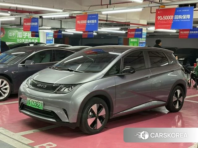 BYD dolphin id 4238895 из Китая 8