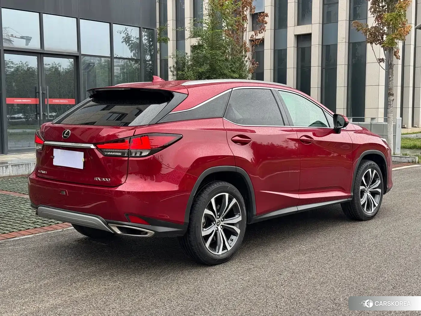Lexus RX id 4669348 из Китая 25