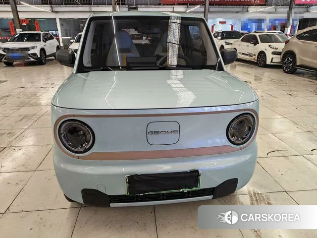 Geely Galaxy panda id 3969193 из Китая 8