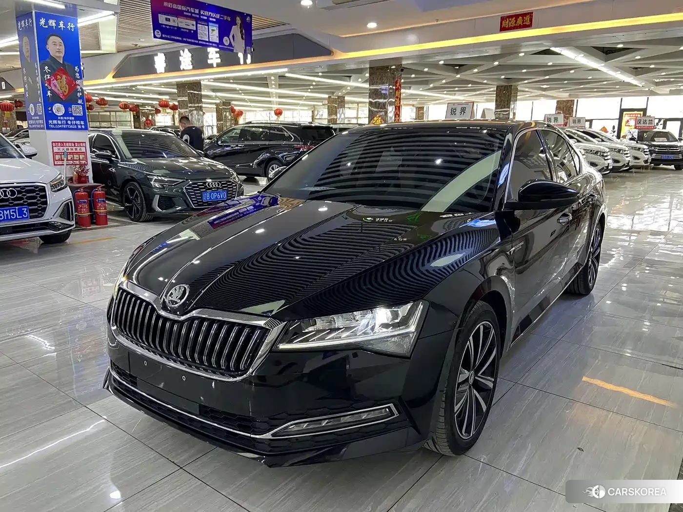 Skoda Speed pie id 4538750 из Китая 15