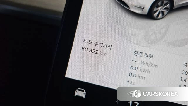 Tesla Model Y id 4414627 из Кореи 30