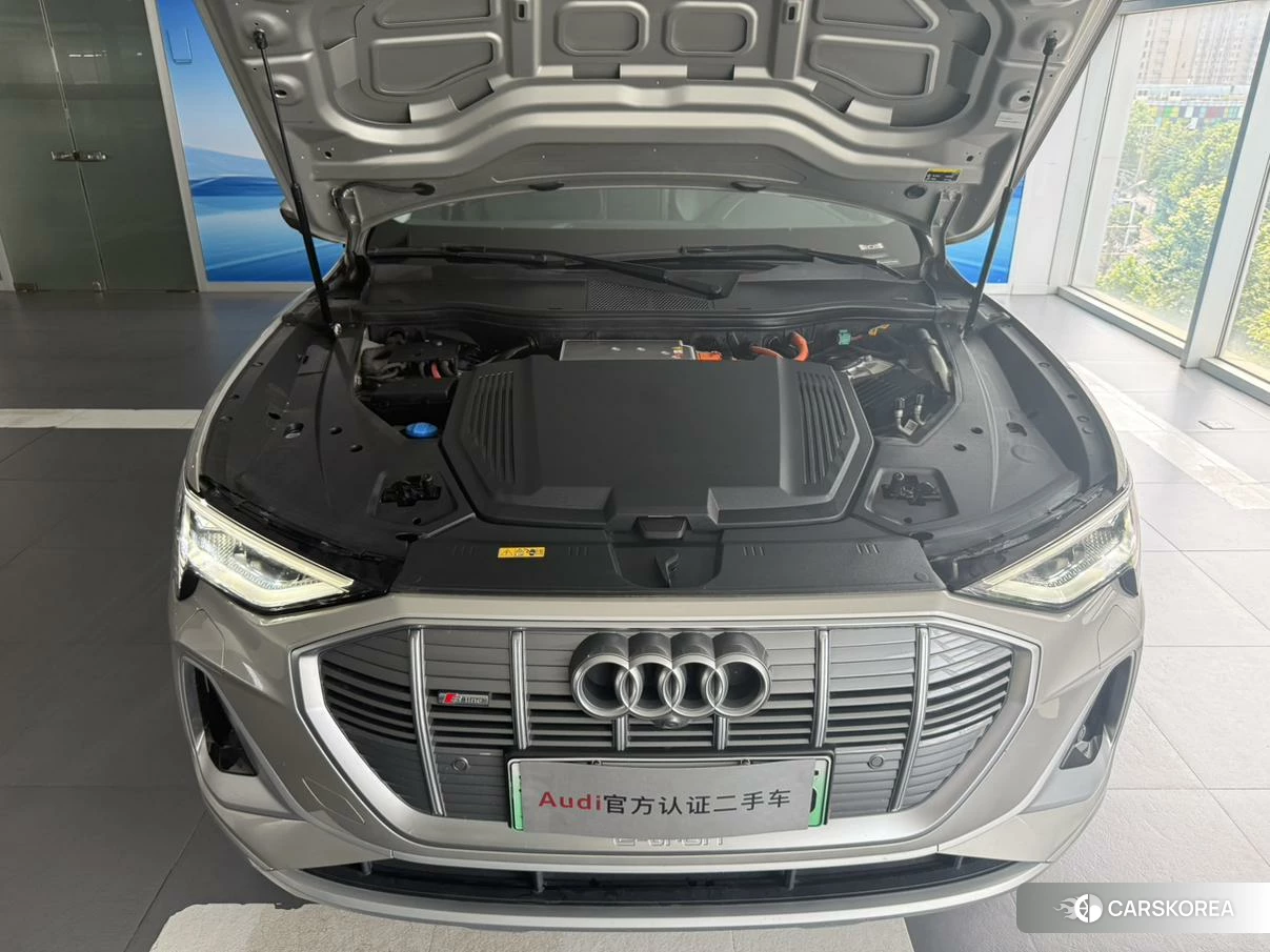 Audi e-tron id 4420010 из Китая 25