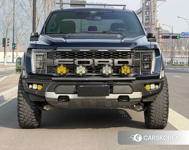 Ford F-150 Raptor id 4374563 из Китая 19