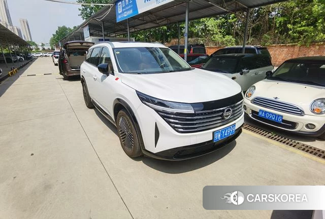 Nissan Exploring the land id 4298048 из Китая 16