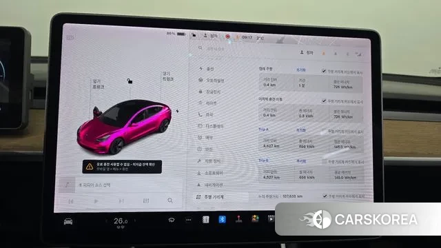 Tesla Model 3 id 3612024 из Кореи 18