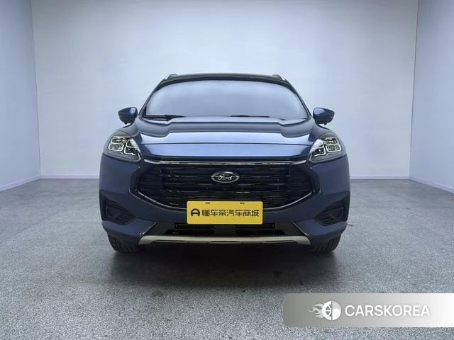 Ford Ruiji id 4241011 из Китая 18