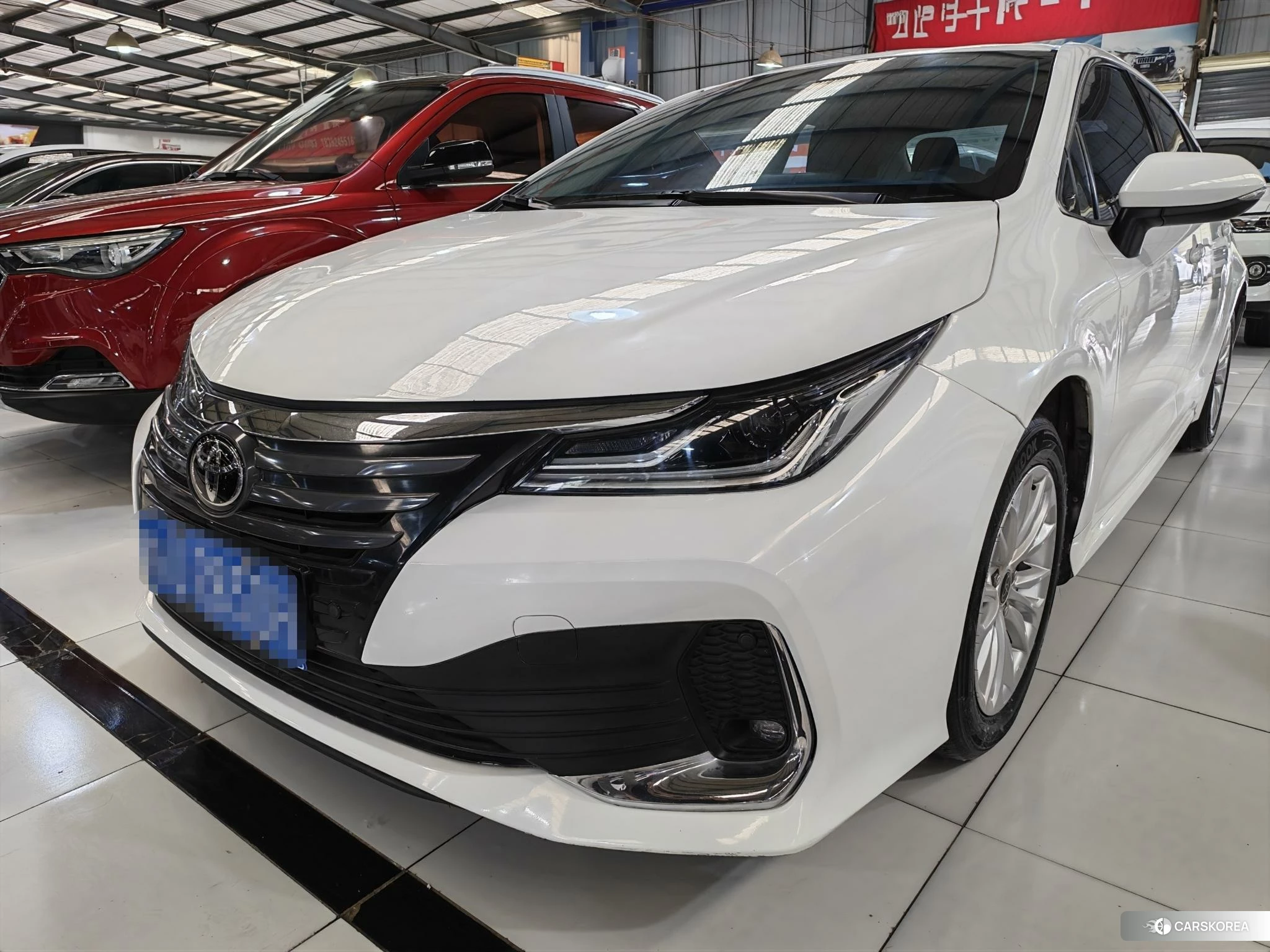 Toyota Asian lion id 4467373 из Китая 8