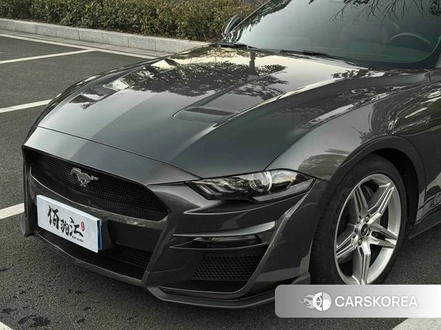 Ford Mustang id 4254564 из Китая 13