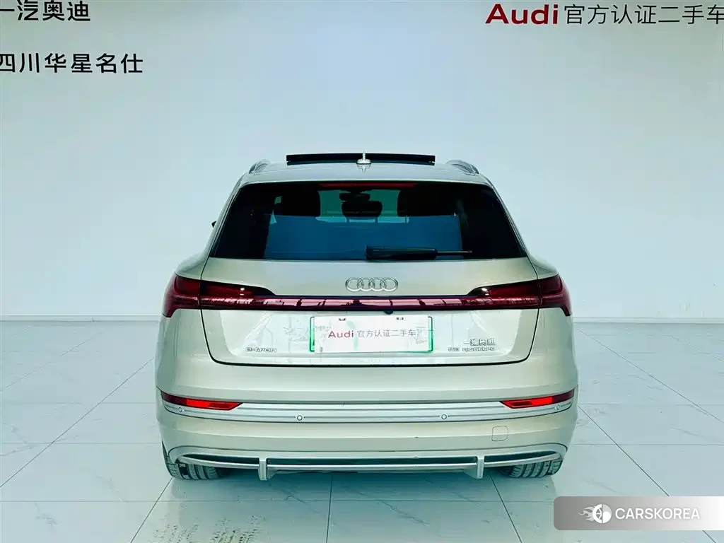 Audi e-tron id 4576365 из Китая 8