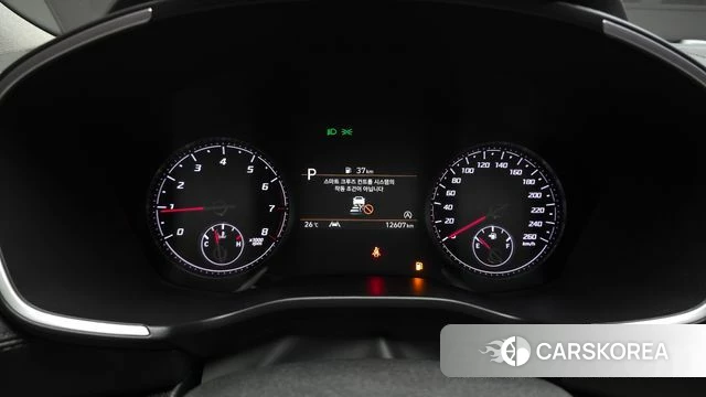 Hyundai The New Santa Fe id 4618461 из Кореи 18