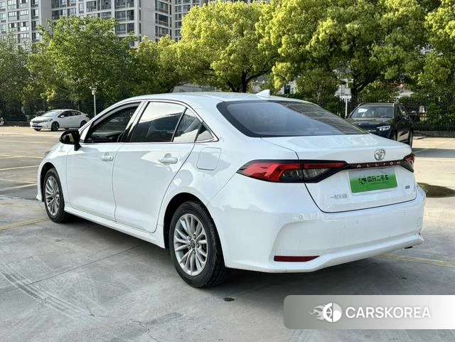 Toyota Asian lion id 4260856 из Китая 15